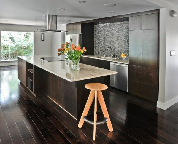 dark-wood-floors-modern-kitchen