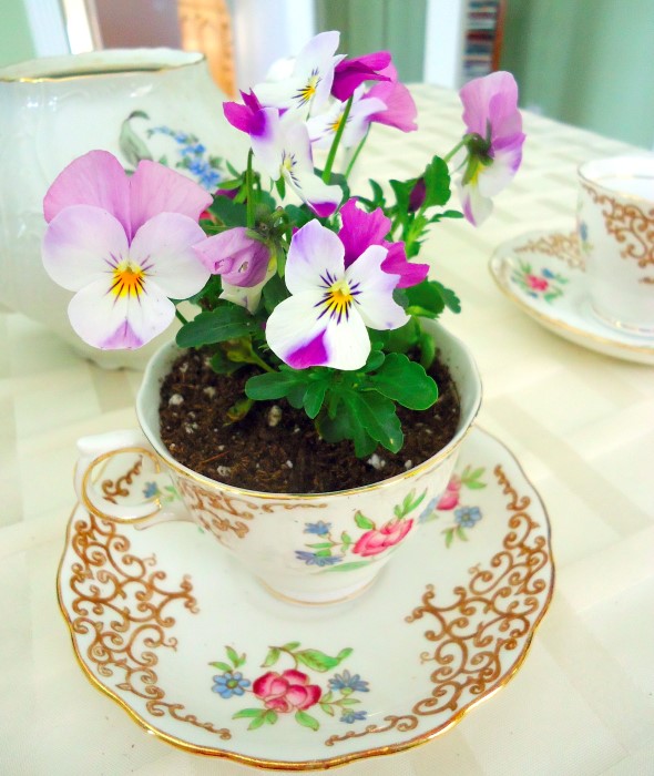 vintage-tea-cup-planters-for-mothers-day-9-1490584120232